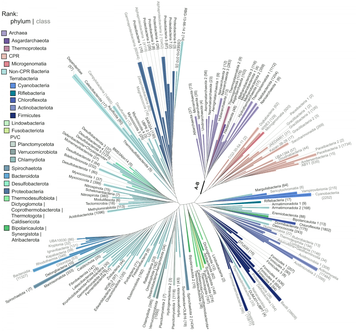 Efficiently Evolving Phylogenetic Trees: Introducing a Scalable Approach to Constructing and Updating Phylogenies